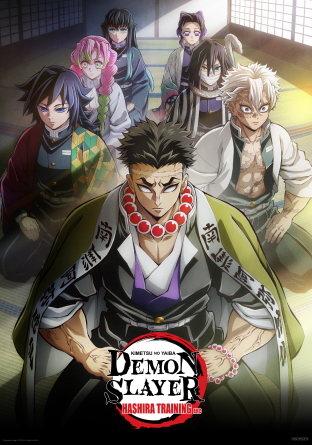 Demon Slayer: Kimetsu no Yaiba Hashira Training Arc Official USA Website