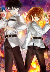 Fate/Grand Order Duel Official USA Website