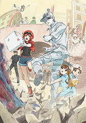 Cells at Work! Official USA Website