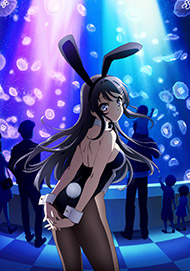 Rascal Does Not Dream of Bunny Girl Senpai Official USA Website