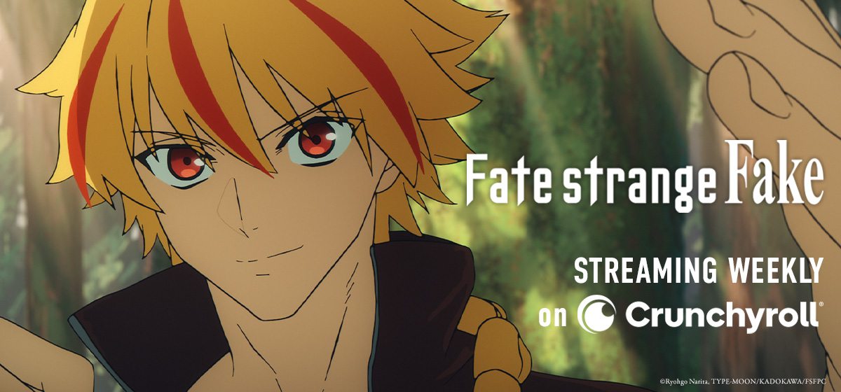 Fate strange Fake